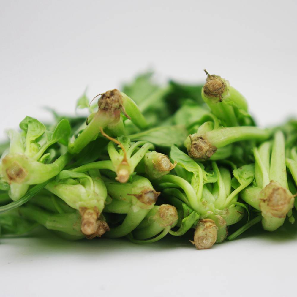 蔬菜名称:【燎原特惠】新鲜菠菜绿色种植绿色无公害蔬菜新鲜青菜顺丰